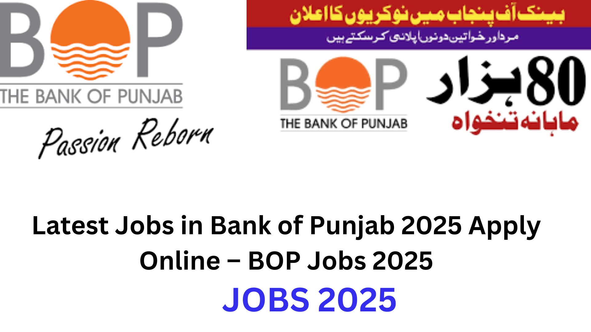 Latest Jobs in Bank of Punjab