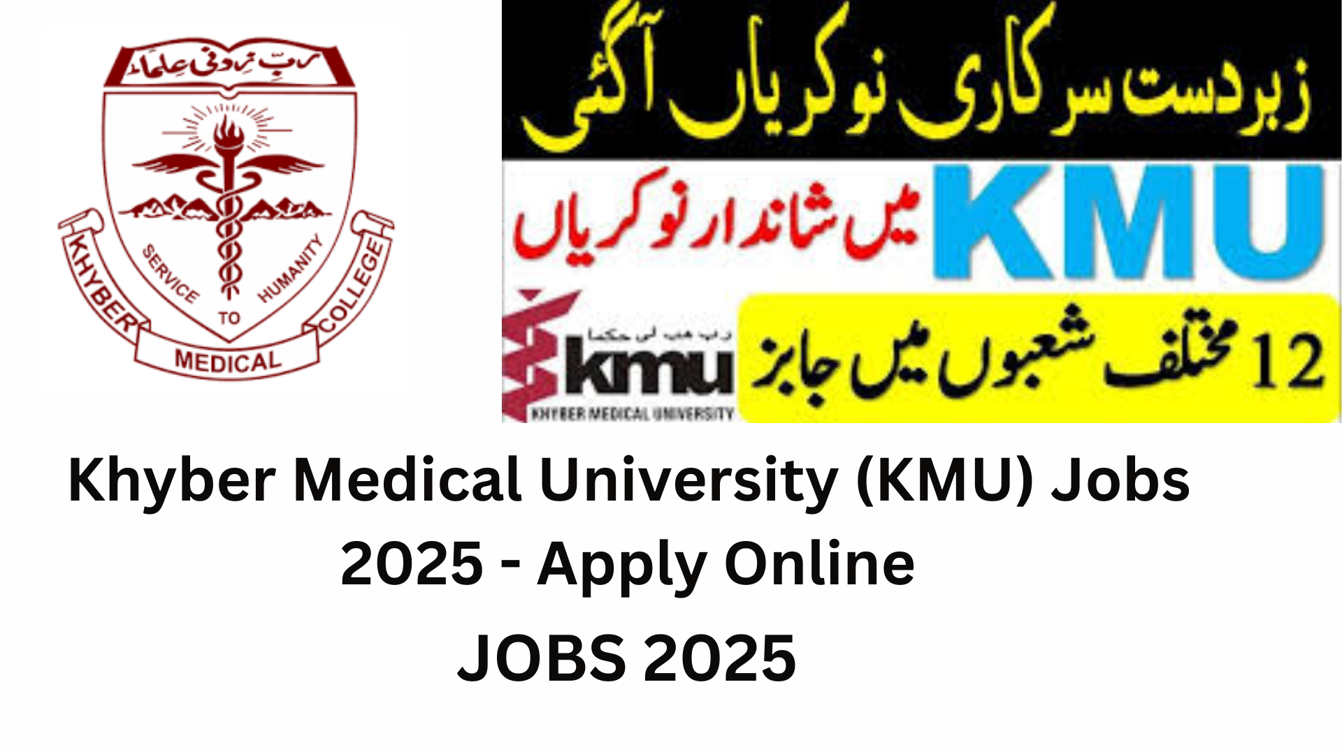 Khyber Medical University